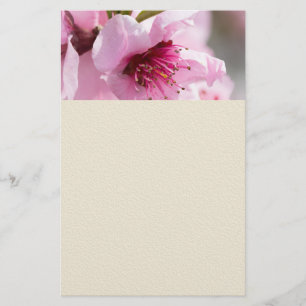 Flyer Primavera florescendo