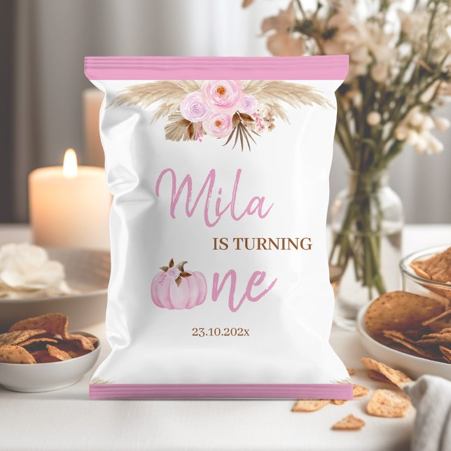 Flyer Primeiro aniversario Rosa Pumpkin Molhador Chip Ba (Criador carregado)