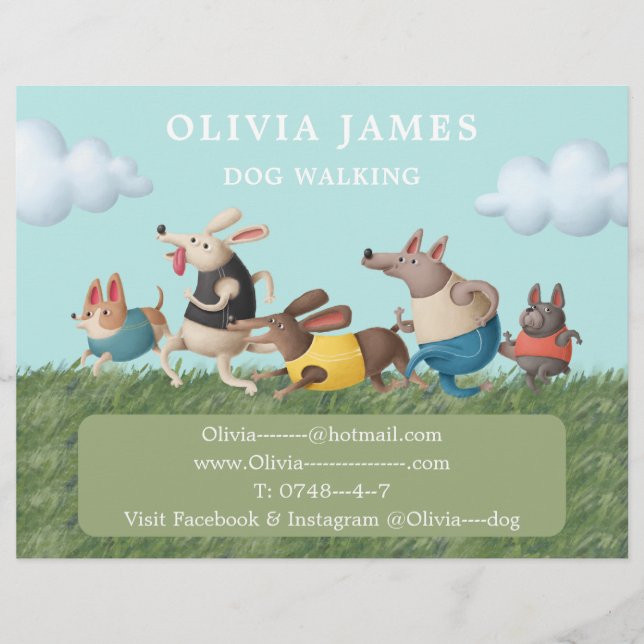 Flyer Promocional de serviços de cuidados para animais d (Frente)