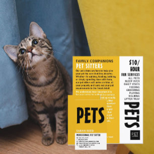 Flyer Propaganda de Serviço de Pet Sitting Modern Bold