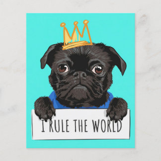 Flyer Pug I Governar O Presente Mundial, Engraçado Dom D