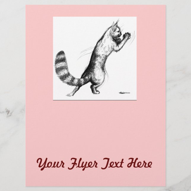 Flyer Pulverização de Gatos2 (Frente)