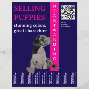 Flyer Puppy para vender