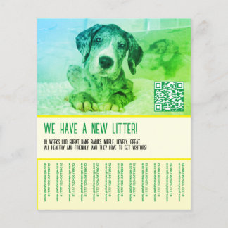 Flyer Puppy para vender modelo