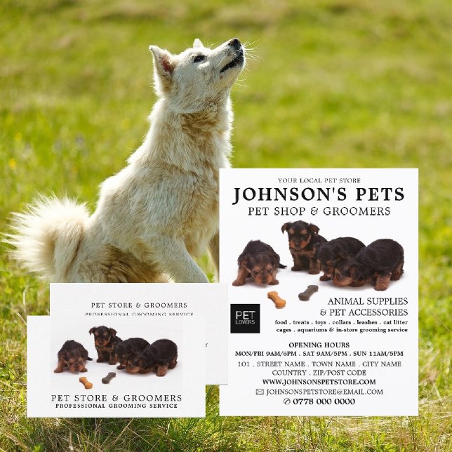 Flyer Pups, Pet Store e Publicidade de Gráficos (Criador carregado)