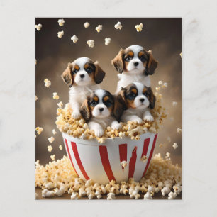 Flyer Quads Cavalier Spaniel Puppies Na Pipoca,
