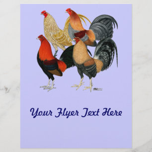 Flyer Quatro Gamecocks