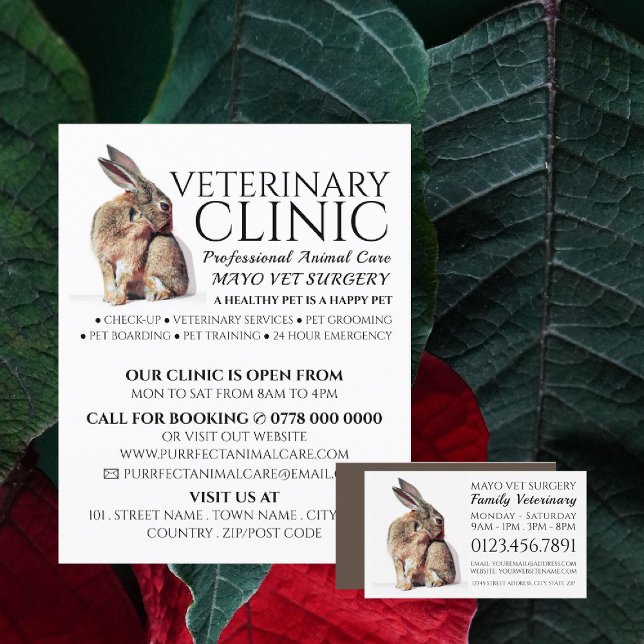 Flyer Rabbit, veterinário, serviço veterinário (Criador carregado)