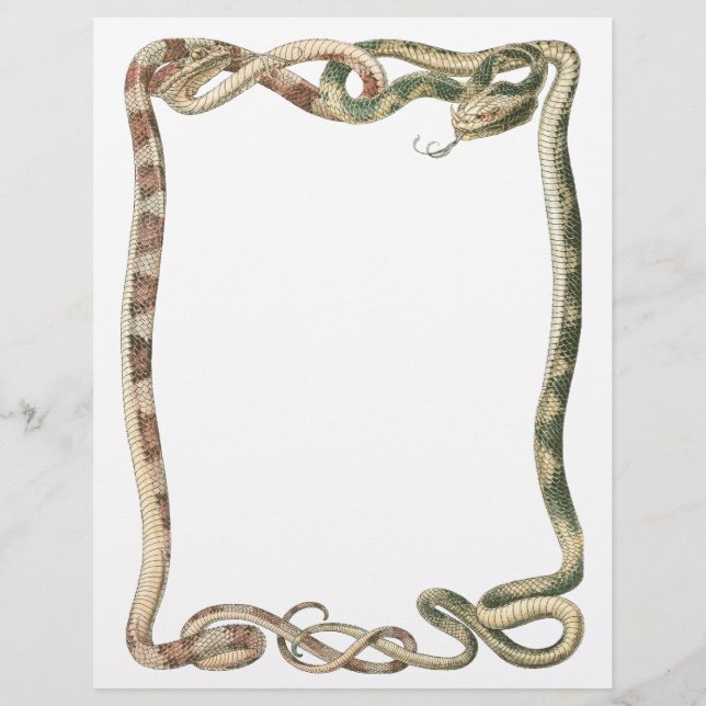 Flyer Répteis Antigos, Serpentes ou Víboras Entrelaçadas (Frente)