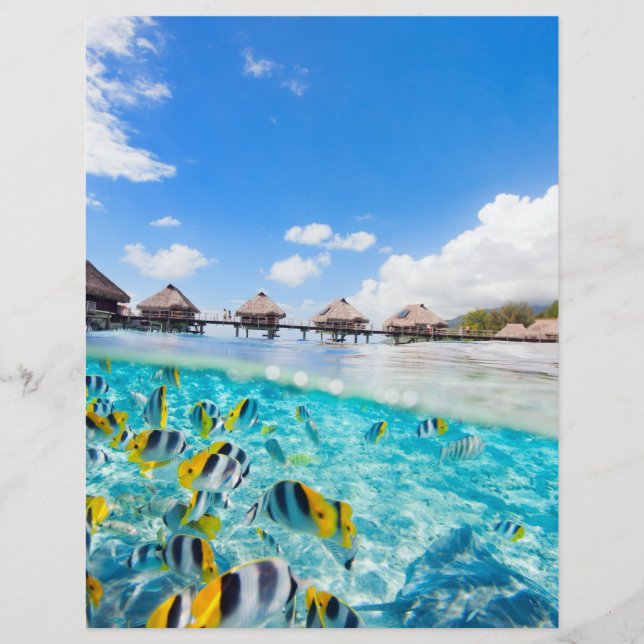 Flyer resort SPA (Frente)