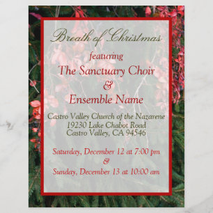 Flyer Respiração Do Natal