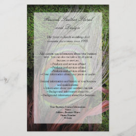 Flyer Rich Peacock Feather com Green Moss