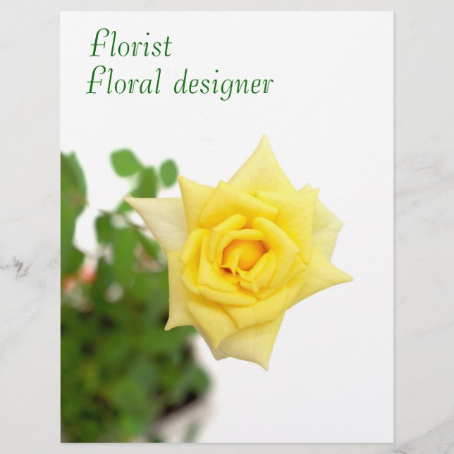 Flyer Rosa amarela (Frente)