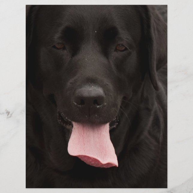 Flyer Rosto de cachorro preto (Frente)