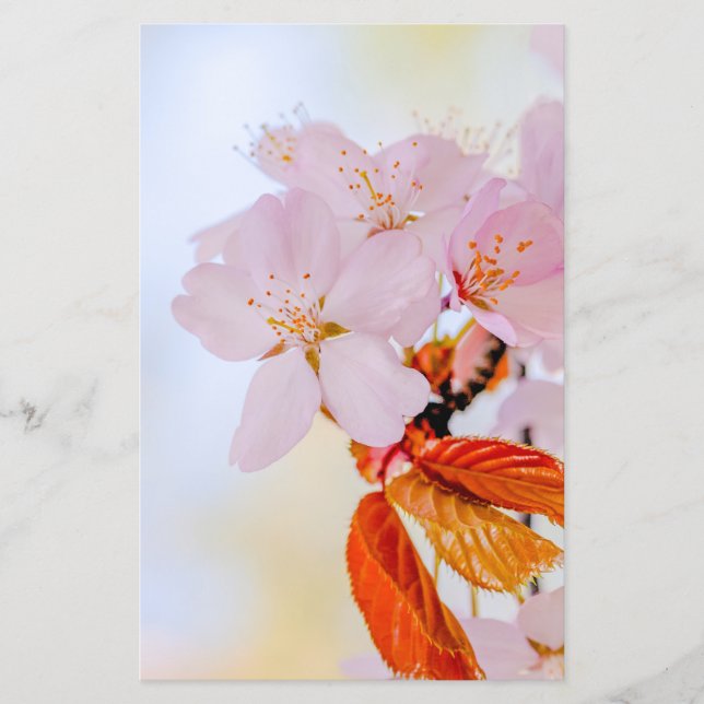Flyer Sakura - flor de cereja japonesa (Frente)