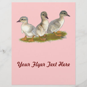 Flyer Saxónia Ducklings