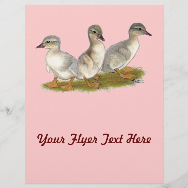 Flyer Saxónia Ducklings (Frente)