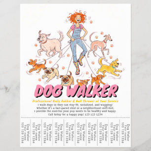 Flyer Serviço de Cuidado de Animais de Estimação e Passe