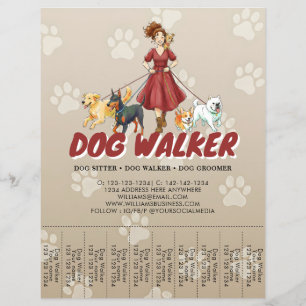 Flyer Serviço Personalizado de Cuidado de Animais e Pass