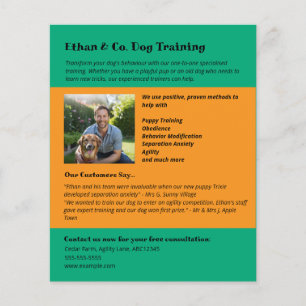 Flyer Serviços de Treinamento de Cães Laranja Verde Bril