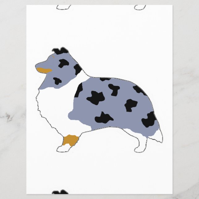 Flyer shcharle blue merle white e tan silo.pn (Frente)