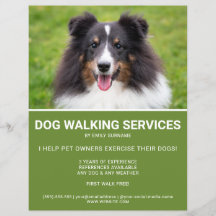 Shetland Sheepdog Foto do Cachorro Verde Modelo