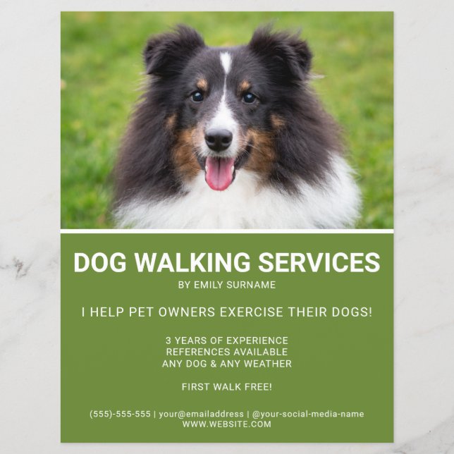 Flyer Shetland Sheepdog Foto do Cachorro Verde Modelo (Frente)