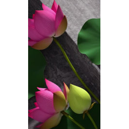 Flyer Símbolo ZEN Open House Studio Pose Instrutor Studi