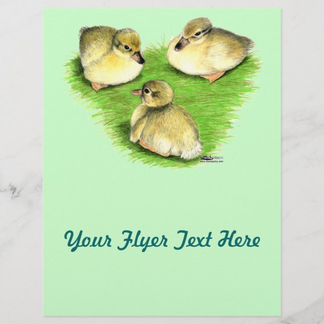 Flyer Snowy Mallard Ducklings (Frente)