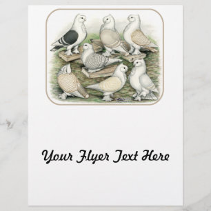 Flyer Suínos Clássicos