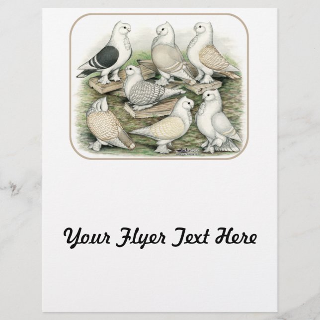 Flyer Suínos Clássicos (Frente)