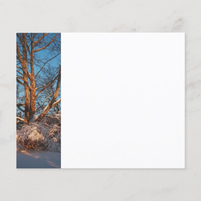 Flyer Sunrise, neve e Sycamore (Frente)