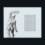 Flyer Terapia de Massagem Chiropractor Anatomia Chiropra<br><div class="desc">Chiropractic Chiropractor Massage Spa Therapist Anatomy Flyers.</div>