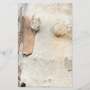 Flyer Teste padrão do latido dos olhares da camuflagem