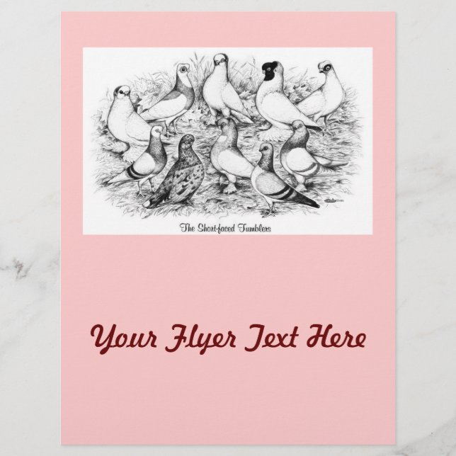 Flyer The Short-faced Tumblers (Frente)