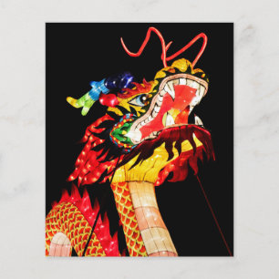 Flyer Tianlong Dragon