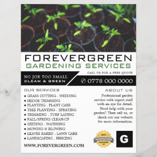 Flyer Tomateiros, Serviço de Jardinagem, Horticultura