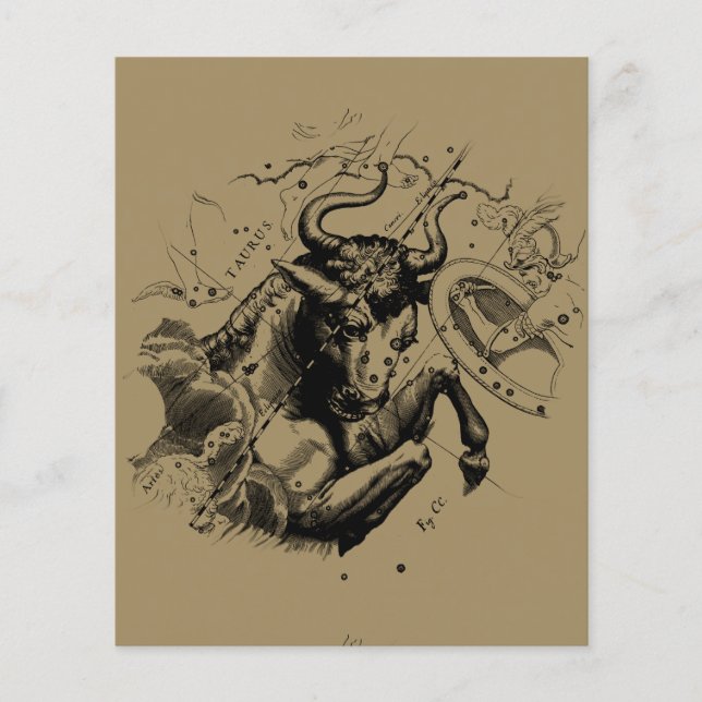 Flyer Touro Constelação Hevelius 1690 Engrenando (Frente)