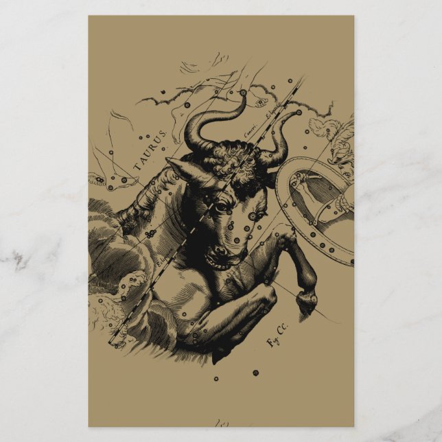 Flyer Touro Constelação Hevelius 1690 Engrenando (Frente)