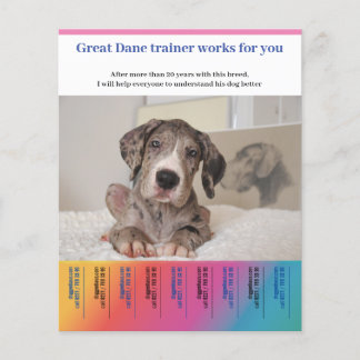 Flyer Treinador de Cães Great Dane