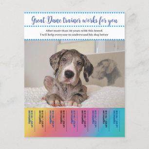 Flyer Treinador de Cão Grande Dinamarquês