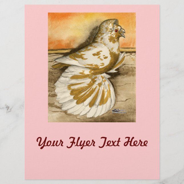 Flyer Trompeter Inglês Pigeon Yellow Splash (Frente)