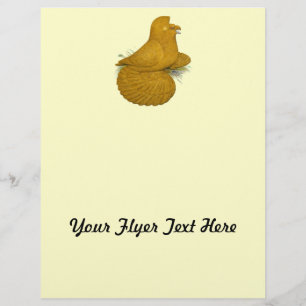 Flyer Trumpeter Pigeon Amarelo