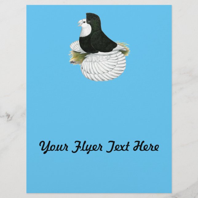 Flyer Trumpeter Pigeon Black Balehead (Frente)