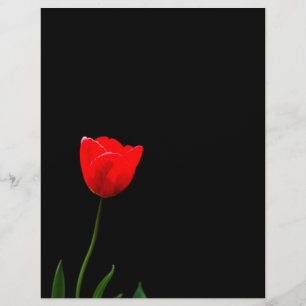 Flyer Tulipa vermelha sobre fundo preto