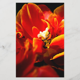 Flyer Tulipas vermelhas fundo escuro