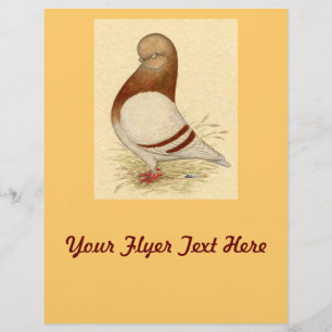 Flyer Tumbler Pigeon:  LFCL Mealy