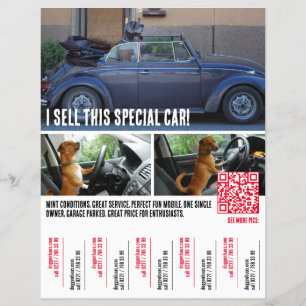 Flyer Venda de Carros com Desgarramento de Lágrimas