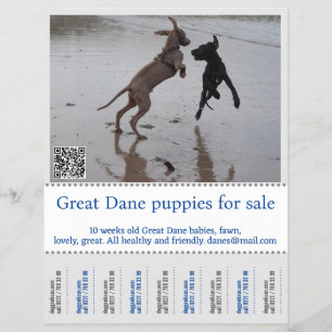 Flyer Vendedor Cartazista