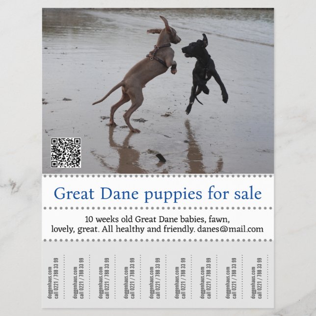 Flyer Vendedor de Poster (Frente)